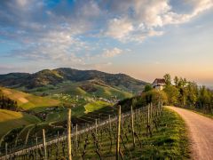 Solarzellen mit integriertem Energiespeicher